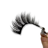"Sultry" Lash